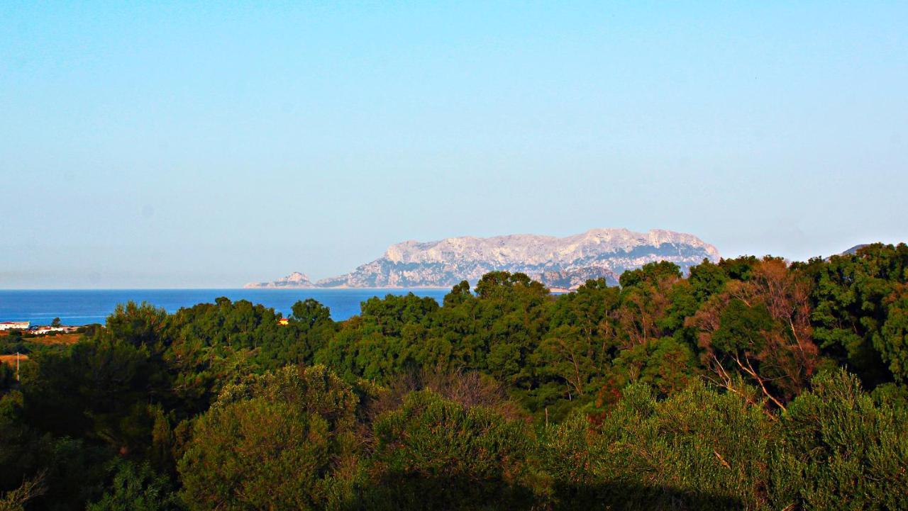 Sole Matto Rooms Όλμπια Εξωτερικό φωτογραφία