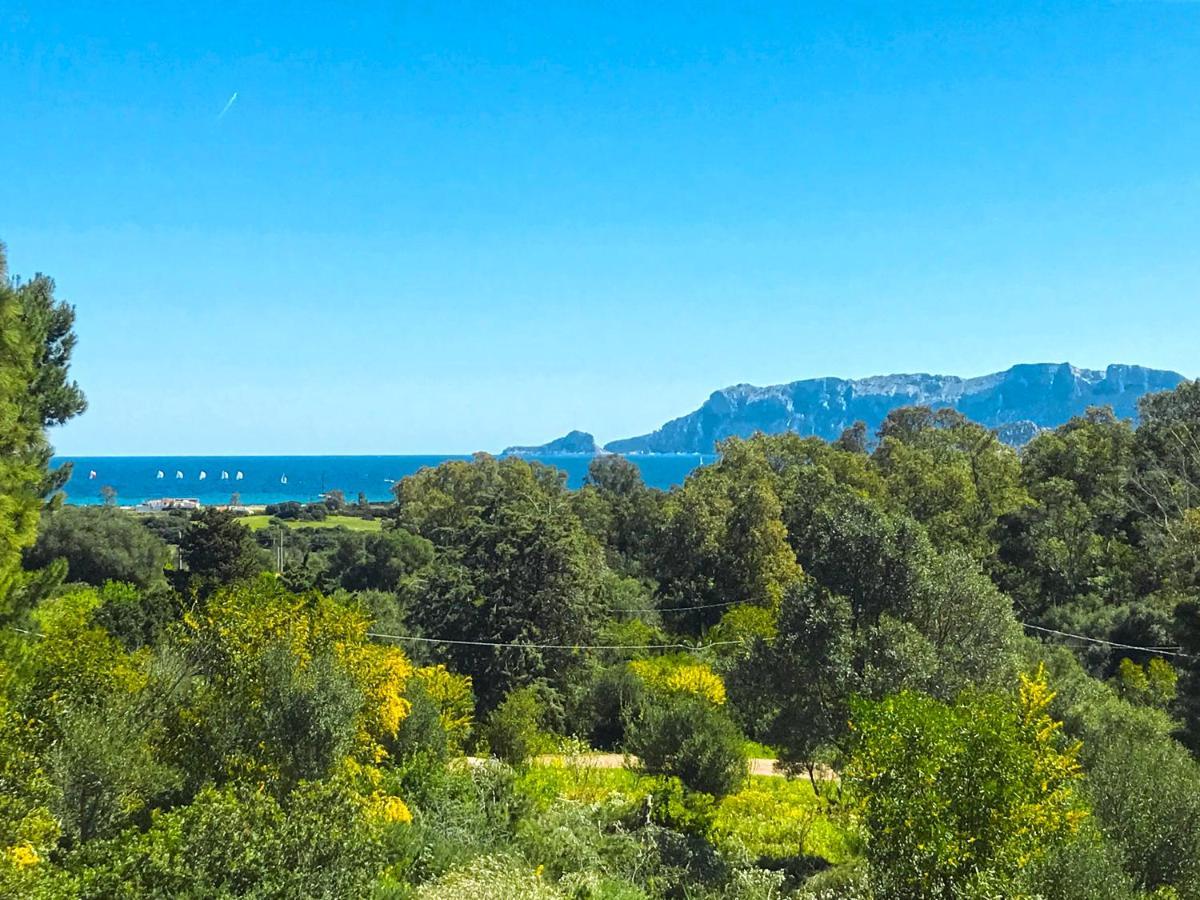Sole Matto Rooms Όλμπια Εξωτερικό φωτογραφία