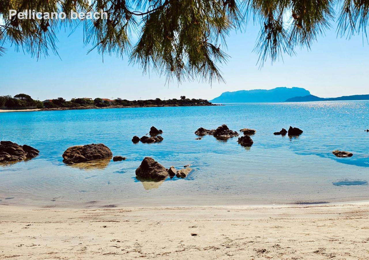 Sole Matto Rooms Όλμπια Εξωτερικό φωτογραφία